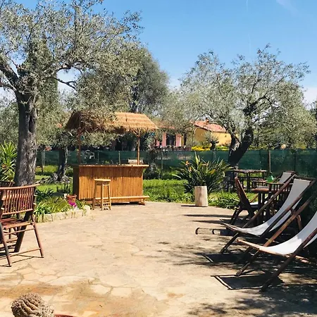 Butterfly House Bed & Breakfast *