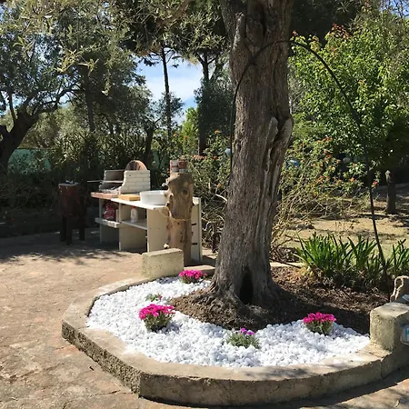 Butterfly House Bed & Breakfast 3*