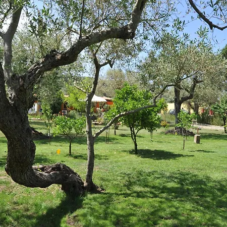 Butterfly House Alghero