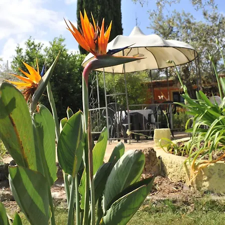 Butterfly House אלגהרו