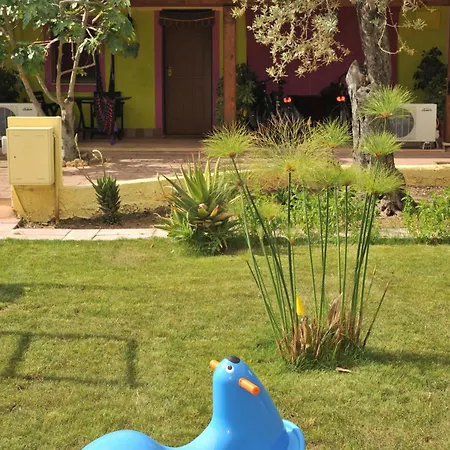 לינה וארוחת בוקר Butterfly House