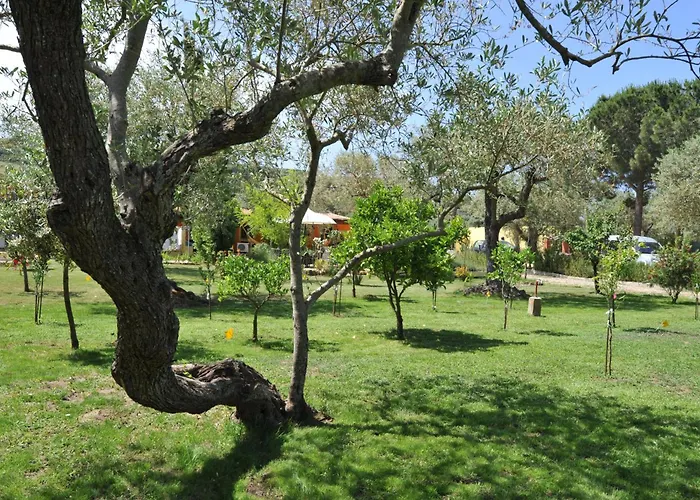 Butterfly House Alguer