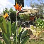 Butterfly House Alguer