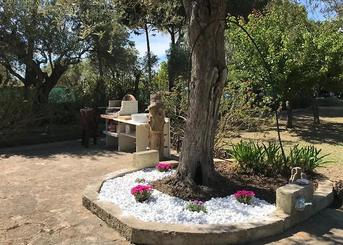 Butterfly House Bed & Breakfast 3*