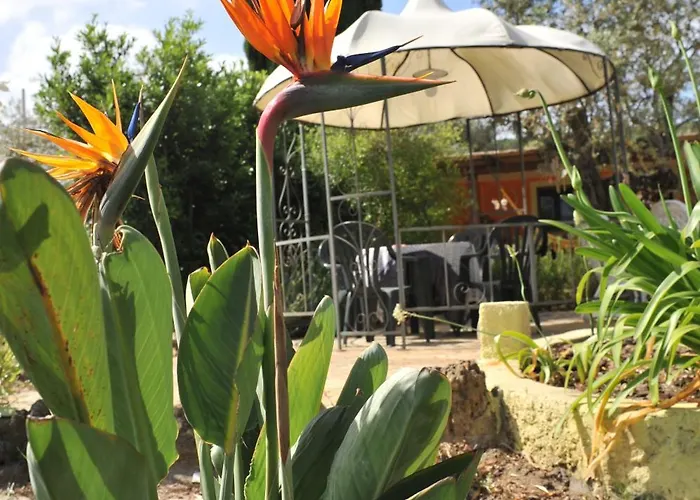 Butterfly House Alghero